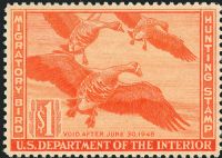 Scott RW11<br />$1.00 White-fronted Geese - Issued 1944<br />Pane Single<br /><span class=quot;smallerquot;>(reference or stock image)</span>