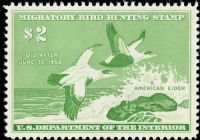 Scott RW24<br />$2.00 American Eiders - Issued 1957<br />Pane Single<br /><span class=quot;smallerquot;>(reference or stock image)</span>