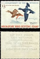 Scott RW36<br />$3.00 White-winged Scoters - Issued 1969<br />Pane Single<br /><span class=quot;smallerquot;>(reference or stock image)</span>