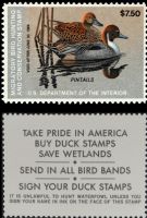 Scott RW50<br />$7.50 Pintails - Issued 1983<br />Pane Single<br /><span class=quot;smallerquot;>(reference or stock image)</span>