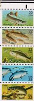 Scott 2205-2209; 2209a<br />22c Fish (VB) <br />See <a href=quot;https://www.bardostamps.com/back-of-book-united-states-stamps/1950/scott-catalog-BK154quot;>BK154</a>
<br />Booklet Pane of 5 #2205-2209 (5 designs)<br /><span class=quot;smallerquot;>(reference or stock image)</span>