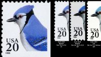 Scott 2483<br />20c Blue Jay (VB)<br />Booklet Pane Single<br /><span class=quot;smallerquot;>(reference or stock image)</span>
