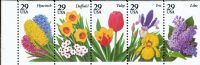 Scott 2760-2764; 2764a<br />29c Garden Flowers (VB)<br />See <a href=quot;https://www.bardostamps.com/back-of-book-united-states-stamps/1950/scott-catalog-BK208quot;>BK208</a><br />Booklet Pane of 5 #2760-2764 (5 designs)<br /><span class=quot;smallerquot;>(reference or stock image)</span>
