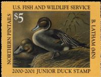 Scott JDS8<br />$5.00 Pintails (2000-2001)<br />Pane Single<br /><span class=quot;smallerquot;>(reference or stock image)</span>