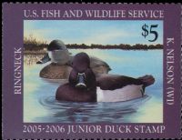 Scott JDS13<br />$5.00 Ring-necked Ducks (2005-2006)<br />Pane Single<br /><span class=quot;smallerquot;>(reference or stock image)</span>