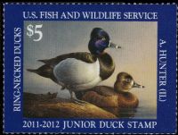 Scott JDS19<br />$5.00 Ring-necked Ducks (2011-2012)<br />Pane Single<br /><span class=quot;smallerquot;>(reference or stock image)</span>