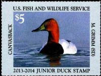 Scott JDS21<br />$5.00 Canvasback (2013-2014)<br />Pane Single<br /><span class=quot;smallerquot;>(reference or stock image)</span>