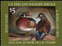 Scott JDS23<br />$5.00 Wood Ducks (2015-2016)<br />Pane Single<br /><span class=quot;smallerquot;>(reference or stock image)</span>