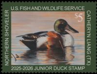 Scott JDS33<br />$5.00 Northern Shoveler by Catheryn Lang from Texas<br />Pane Single<br /><span class=quot;smallerquot;>(reference or stock image)</span>