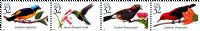 Scott 3222-3225<br />32c Tropical Birds (Pane / MDI)<br />Pane Horizontal Strip of 4 #3225a (4 designs)<br /><span class=quot;smallerquot;>(reference or stock image)</span>