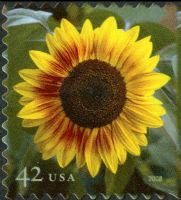 Scott 4347<br />42c Sunflower (DSB)<br />Double-Sided Booklet Pane Single<br /><span class=quot;smallerquot;>(reference or stock image)</span>
