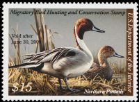 Scott RW75<br />$15.00 Northern Pintails - Issued 2008<br />Pane Single<br /><span class=quot;smallerquot;>(reference or stock image)</span>