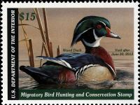 Scott RW79<br />$15.00 Wood Ducks - Issued 2012<br />Pane Single<br /><span class=quot;smallerquot;>(reference or stock image)</span>
