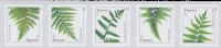 Scott 4973a-4977a; 4977c<br />Forever Ferns (Coil)<br />Coil Strip of 5 #4973a-4977a (5 designs) - 2015 Date<br /><span class=quot;smallerquot;>(reference or stock image)</span>