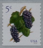 Scott 5038<br />5c Pinot Noir Grapes (Coil)<br />Coil Single<br /><span class=quot;smallerquot;>(reference or stock image)</span>