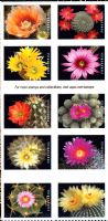 Scott 5350-5359; 5359a<br />Forever Cactus Flowers (DSB)<br />Double-Sided Booklet Block of 10 5350-#5359 (10 designs)<br /><span class=quot;smallerquot;>(reference or stock image)</span>