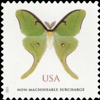 Scott 6031<br />Non Machinable-Rate Luna Moth<br />Pane Single<br /><span class=quot;smallerquot;>(reference or stock image)</span>