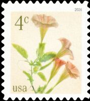 Scott 6044<br />4c Angel’s Trumpets<br />Pane Single<br /><span class=quot;smallerquot;>(reference or stock image)</span>