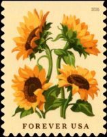 Scott 6067<br />Forever Sunflower (DSB) (BC361)<br />Double-Sided Booklet Single<br /><span class=quot;smallerquot;>(reference or stock image)</span>