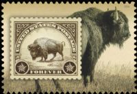 Scott 6099<br />Forever American Bison<br />Pane Single<br /><span class=quot;smallerquot;>(reference or stock image)</span>