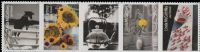 Scott 6124-6128; 6128a<br />Forever Linda McCartney<br />Pane Horizontal Strip of 5<br /><span class=quot;smallerquot;>(reference or stock image)</span>