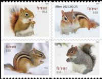 Scott 6129-6132; 6132a<br />Forever Squirrels & Chipmunks in Winter<br />Double-Sided Booklet Block of 4<br /><span class=quot;smallerquot;>(reference or stock image)</span>