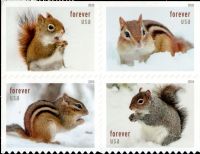 Scott 6130-6133; 6133a<br />Forever Squirrels & Chipmunks in Winter (DSB) (BC368)<br />Double-Sided Booklet Block of 4<br /><span class=quot;smallerquot;>(reference or stock image)</span>