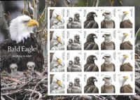 Scott 6086c<br />Forever Bald Eagles<br />Pane of 20<br /><span class=quot;smallerquot;>(reference or stock image)</span>