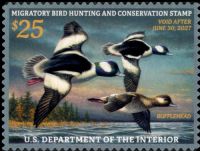 Scott RW93<br />$25.00 Buffleheads<br />Pane Single<br /><span class=quot;smallerquot;>(reference or stock image)</span>