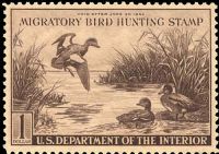 Scott RW9<br />$1.00 American Wigeons - Issued 1942<br />Pane Single<br /><span class=quot;smallerquot;>(reference or stock image)</span>