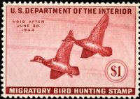 Scott RW10<br />$1.00 Wood Ducks - Issued 1943<br />Pane Single<br /><span class=quot;smallerquot;>(reference or stock image)</span>