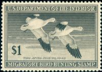 Scott RW14<br />$1.00 Snow Geese - Issued 1947<br />Pane Single<br /><span class=quot;smallerquot;>(reference or stock image)</span>