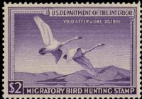 Scott RW17<br />$2.00 Trumpeter Swans in Flight - Issued 1950<br />Pane Single<br /><span class=quot;smallerquot;>(reference or stock image)</span>
