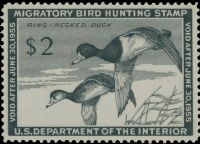 Scott RW21<br />$2.00 Ring-necked Ducks - Issued 1954<br />Pane Single<br /><span class=quot;smallerquot;>(reference or stock image)</span>