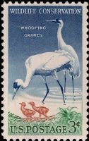 Scott 1098<br />3c Whooping Cranes<br />Pane Single<br /><span class=quot;smallerquot;>(reference or stock image)</span>