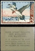 Scott RW29<br />$3.00 Pintail Drakes Coming in for Landings - Issued 1962<br />Pane Single<br /><span class=quot;smallerquot;>(reference or stock image)</span>