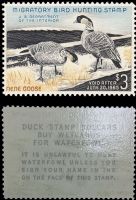Scott RW31<br />$3.00 Hawaiian Nene Geese - Issued 1964<br />Pane Single<br /><span class=quot;smallerquot;>(reference or stock image)</span>