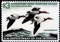 Scott RW32<br />$3.00 Three Canvasback Drakes - Issued 1965<br />Pane Single<br /><span class=quot;smallerquot;>(reference or stock image)</span>