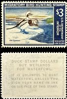 Scott RW34<br />$3.00 Old Squaw Ducks - Issued 1967<br />Pane Single<br /><span class=quot;smallerquot;>(reference or stock image)</span>