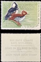 Scott RW35<br />$3.00 Hooded Mergansers - Issued 1968<br />Pane Single<br /><span class=quot;smallerquot;>(reference or stock image)</span>
