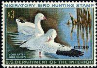 Scott RW37<br />$3.00 Ross's Geese - Issued 1970<br />Pane Single<br /><span class=quot;smallerquot;>(reference or stock image)</span>