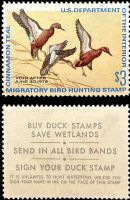 Scott RW38<br />$3.00 Three Cinnamon Teal - Issued 1971<br />Pane Single<br /><span class=quot;smallerquot;>(reference or stock image)</span>