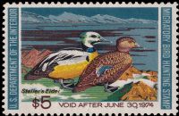 Scott RW40<br />$5.00 Stellers' Eiders - Issued 1973<br />Pane Single<br /><span class=quot;smallerquot;>(reference or stock image)</span>
