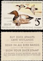 Scott RW42<br />$5.00 Canvasback Ducks and Decoy - Issued 1975<br />Pane Single<br /><span class=quot;smallerquot;>(reference or stock image)</span>