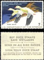 Scott RW44<br />$5.00 Pair of Ross' Geese - Issued 1977<br />Pane Single<br /><span class=quot;smallerquot;>(reference or stock image)</span>