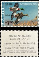Scott RW47<br />$7.50 Mallards by - Issued 1980<br />Pane Single<br /><span class=quot;smallerquot;>(reference or stock image)</span>