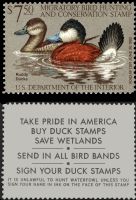 Scott RW48<br />$7.50 Ruddy Ducks - Issued 1981<br />Pane Single<br /><span class=quot;smallerquot;>(reference or stock image)</span>