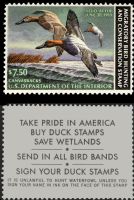 Scott RW49<br />$7.50 Canvasbacks - Issued 1982<br />Pane Single<br /><span class=quot;smallerquot;>(reference or stock image)</span>