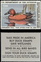 Scott RW52<br />$7.50 Cinnamon Teal - Issued 1985<br />Pane Single<br /><span class=quot;smallerquot;>(reference or stock image)</span>