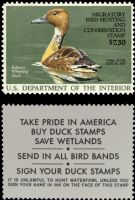 Scott RW53<br />$7.50 Fulvous Whistling Duck - Issued 1986<br />Pane Single<br /><span class=quot;smallerquot;>(reference or stock image)</span>